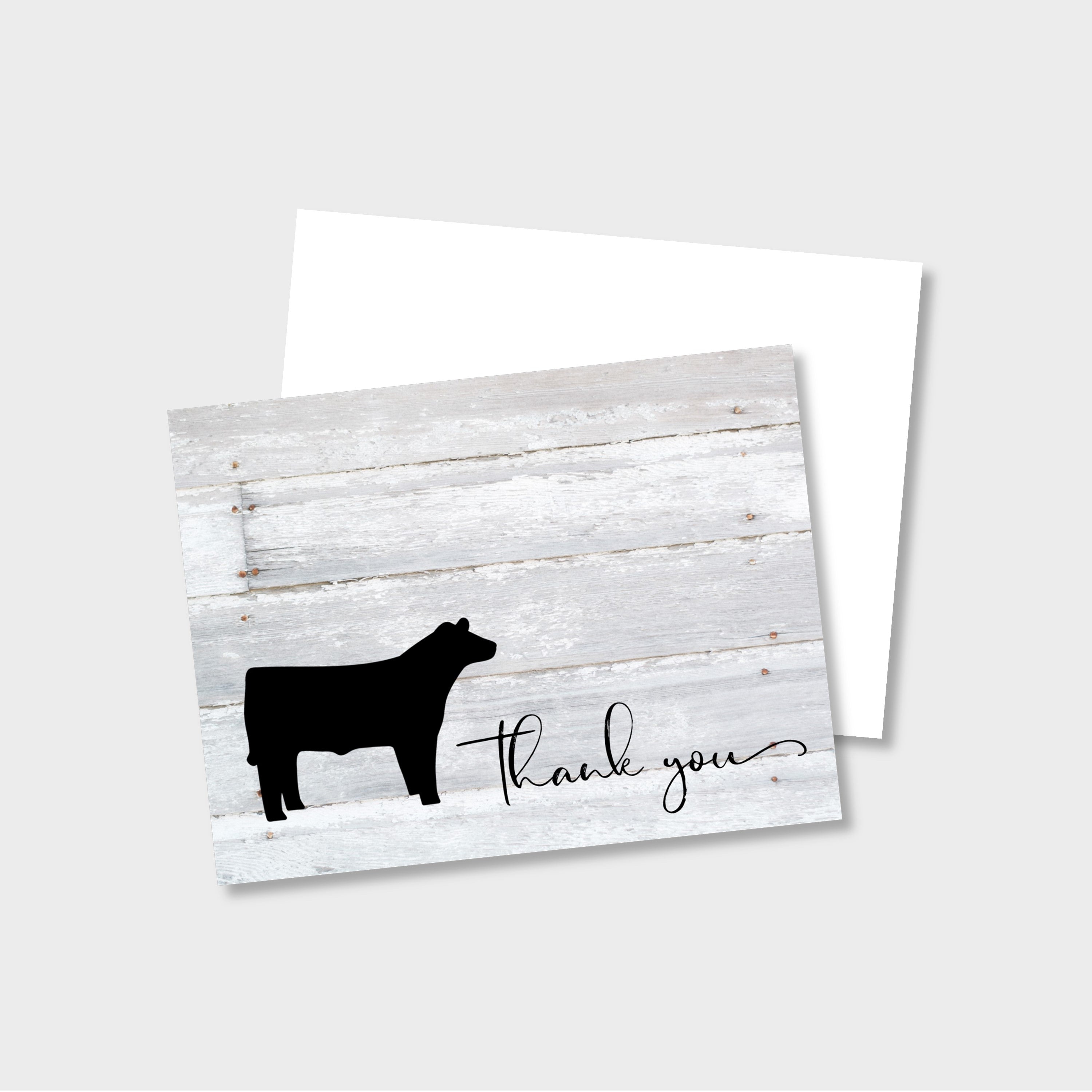 Livestock Show Thank You Card - Show Heifer- 5 x 7 Envelope Template –  Show Barn Life